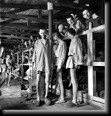 Prisoners of the Block Barrack 61 at liberation * 401 x 420 * (79KB)